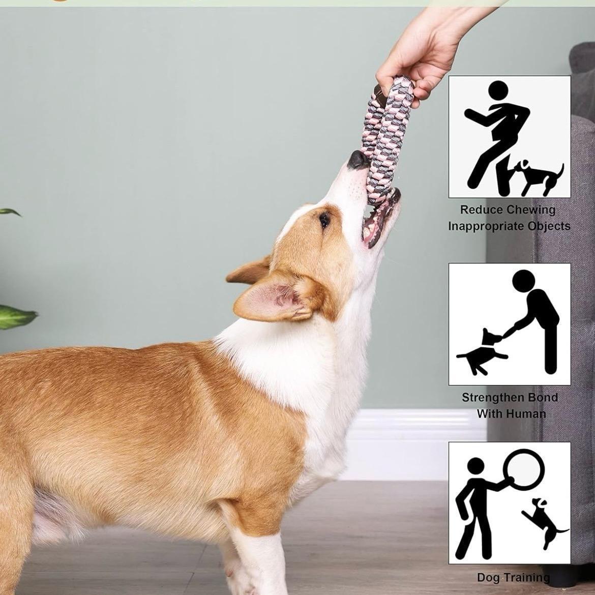 CaBYbigG Rope Dog Toys,No Stuffing Dog Toys,Dog Dental Teeth Cleaning Toys,Dog Chew Toys,Ring Dog Toys for Medium Large/Small Dogs 2 counts